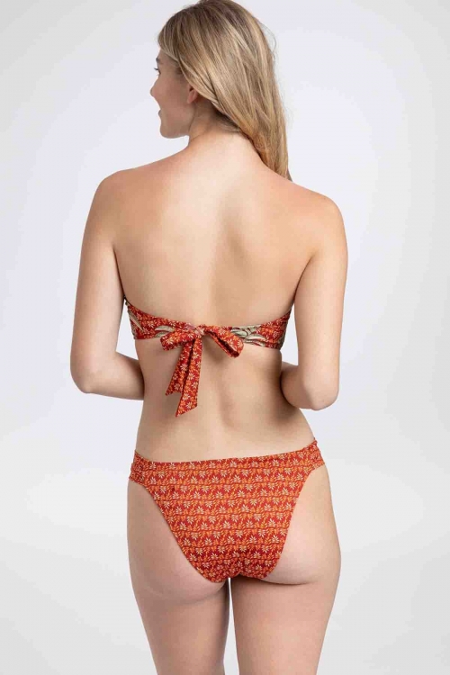 Clio Brief