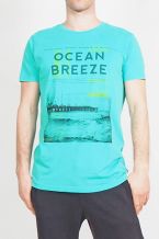 Aqua Green